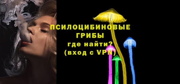 ГАЛЛЮЦИНОГЕННЫЕ ГРИБЫ Абинск