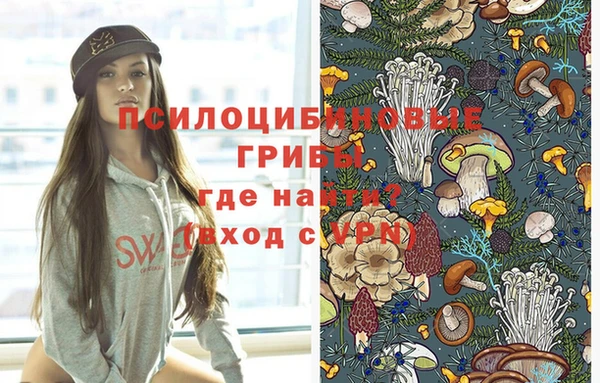 гашиш Абаза