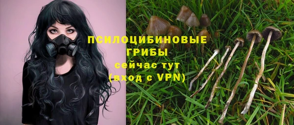 ГАЛЛЮЦИНОГЕННЫЕ ГРИБЫ Абинск