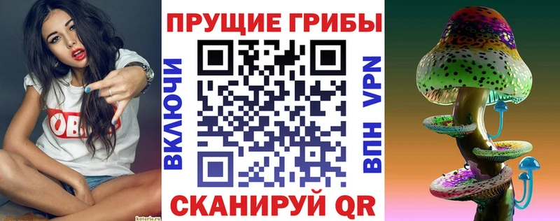 даркнет сайт  Сухиничи  Галлюциногенные грибы MAGIC MUSHROOMS 